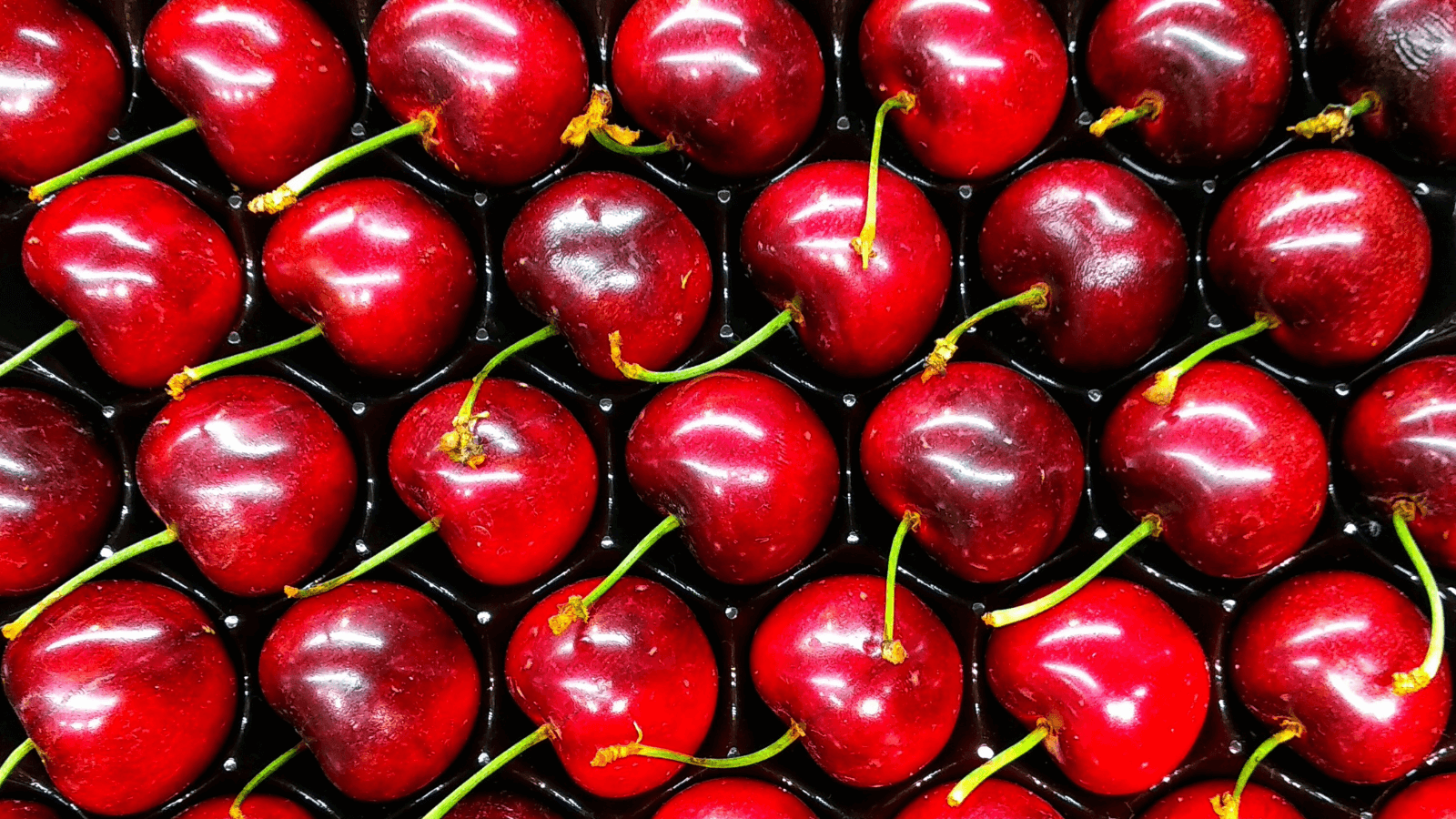 Close-up of fresh red cherries with stems, neatly arranged in a black plastic tray.