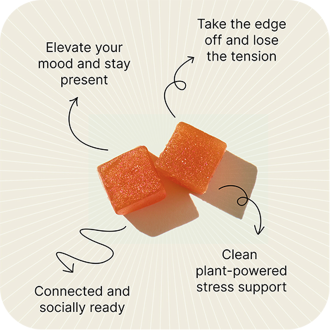 Focused Energy — Focus Gummies